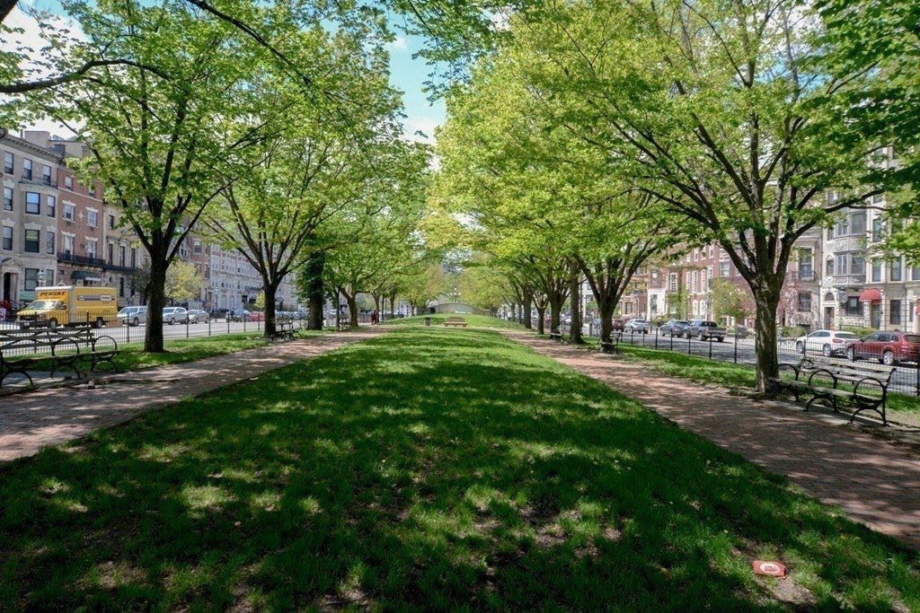 464 Commonwealth Avenue #63, Boston, MA, 464 Commonwealth Avenue #63, Boston, MA Photo #12