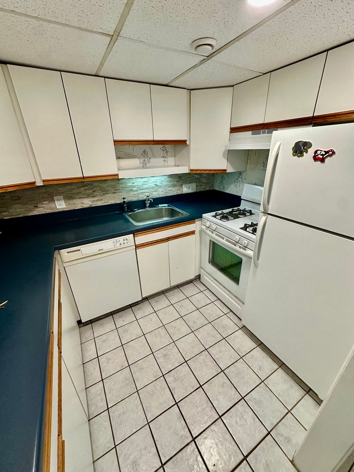 44 Broadlawn Park #22A, Newton, MA, 44 Broadlawn Park #22A, Newton, MA Photo #6