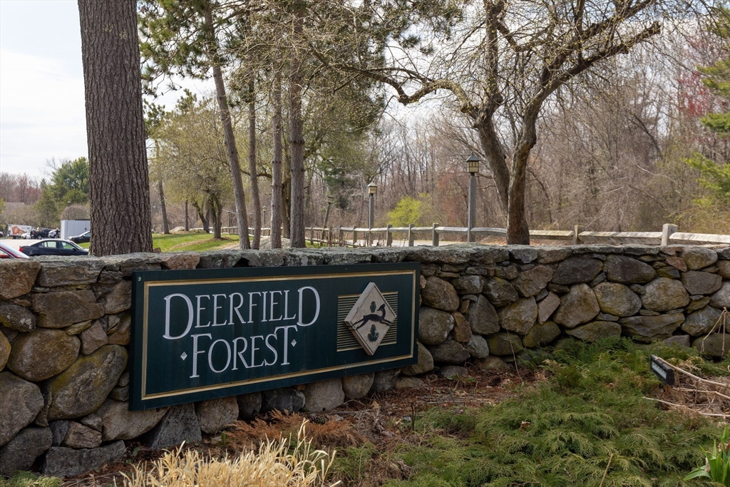 16 Walden Dr 15