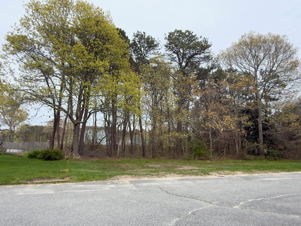 184 Whitehall Way, Barnstable, MA Photo #24