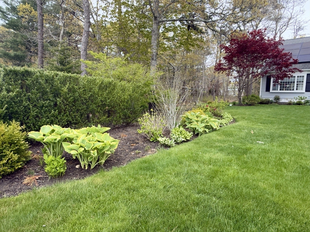 184 Whitehall Way, Barnstable, MA Photo #22