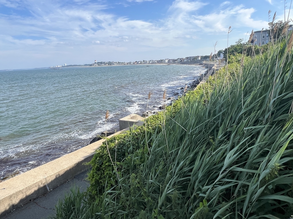 170 Cliff Ave #170, Winthrop, MA, 170 Cliff Ave #170, Winthrop, MA Photo #8