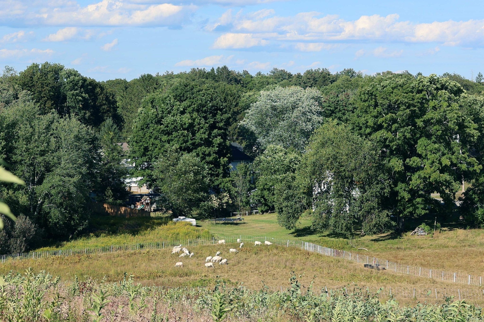 177 Main Street #177, Groveland, MA Photo #25