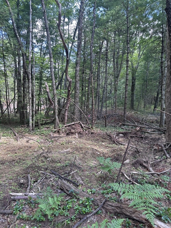 Lot 14 Baldwinville State Road