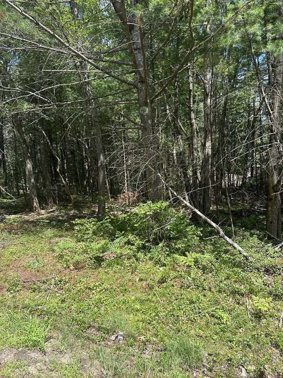 Lot 14 Baldwinville State Road