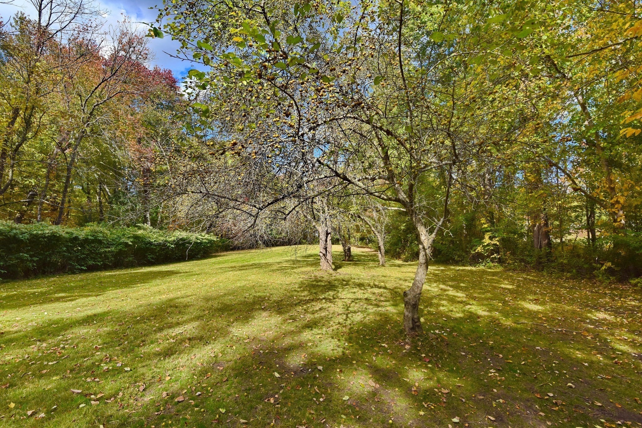 6 Cain Circle #6, Southborough, MA, 6 Cain Circle #6, Southborough, MA Photo #34