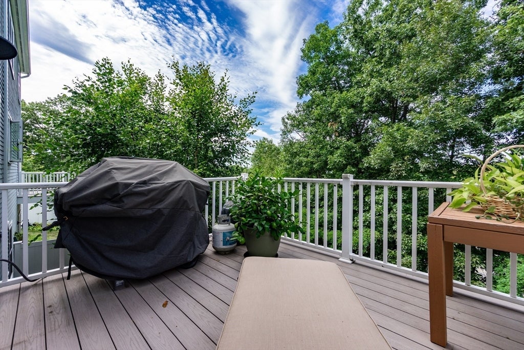 41 Clarks Hill Circle #41, Framingham, MA, 41 Clarks Hill Circle #41, Framingham, MA Photo #10