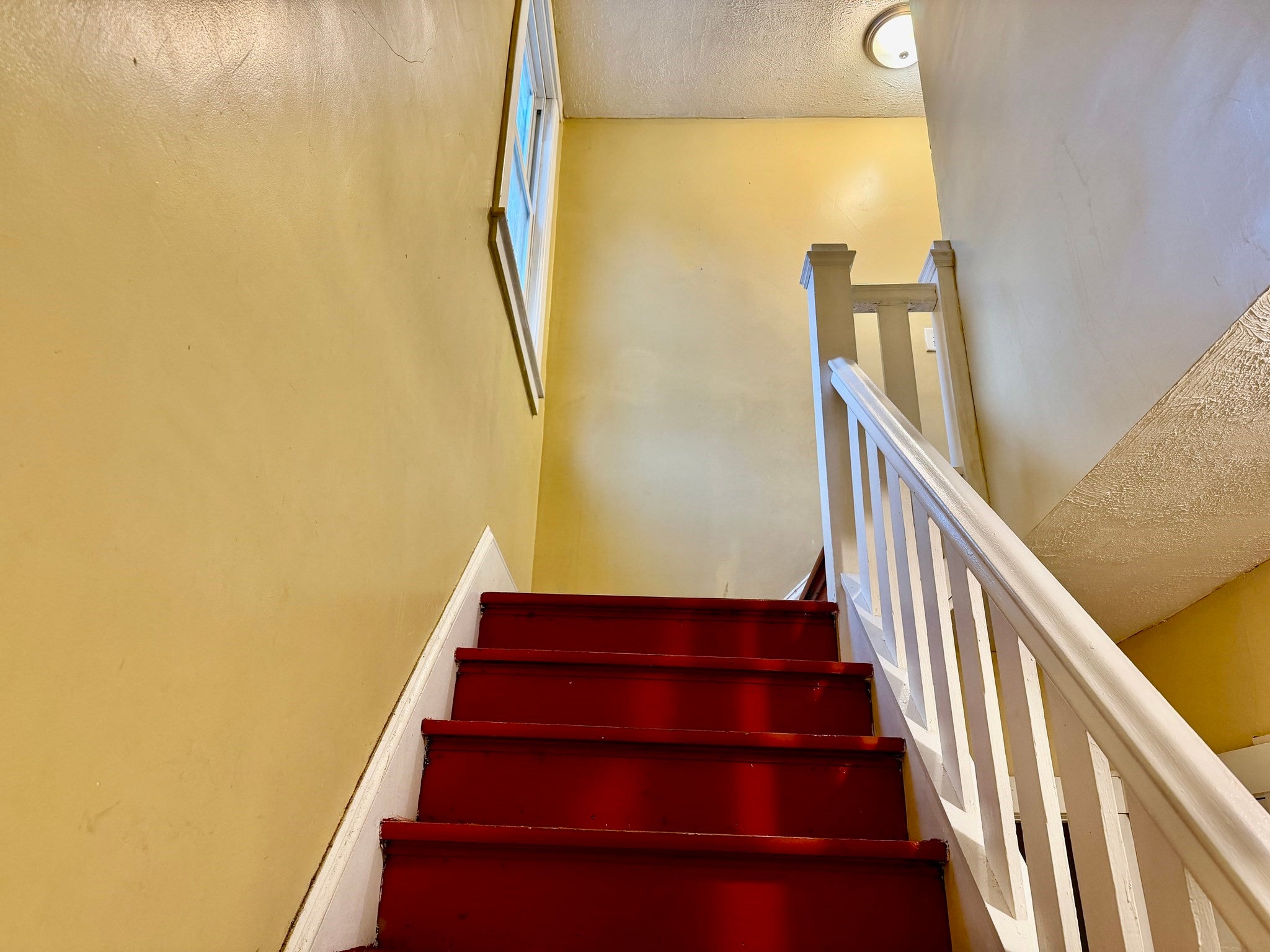 173 Albemarle St, Springfield, MA Photo #19