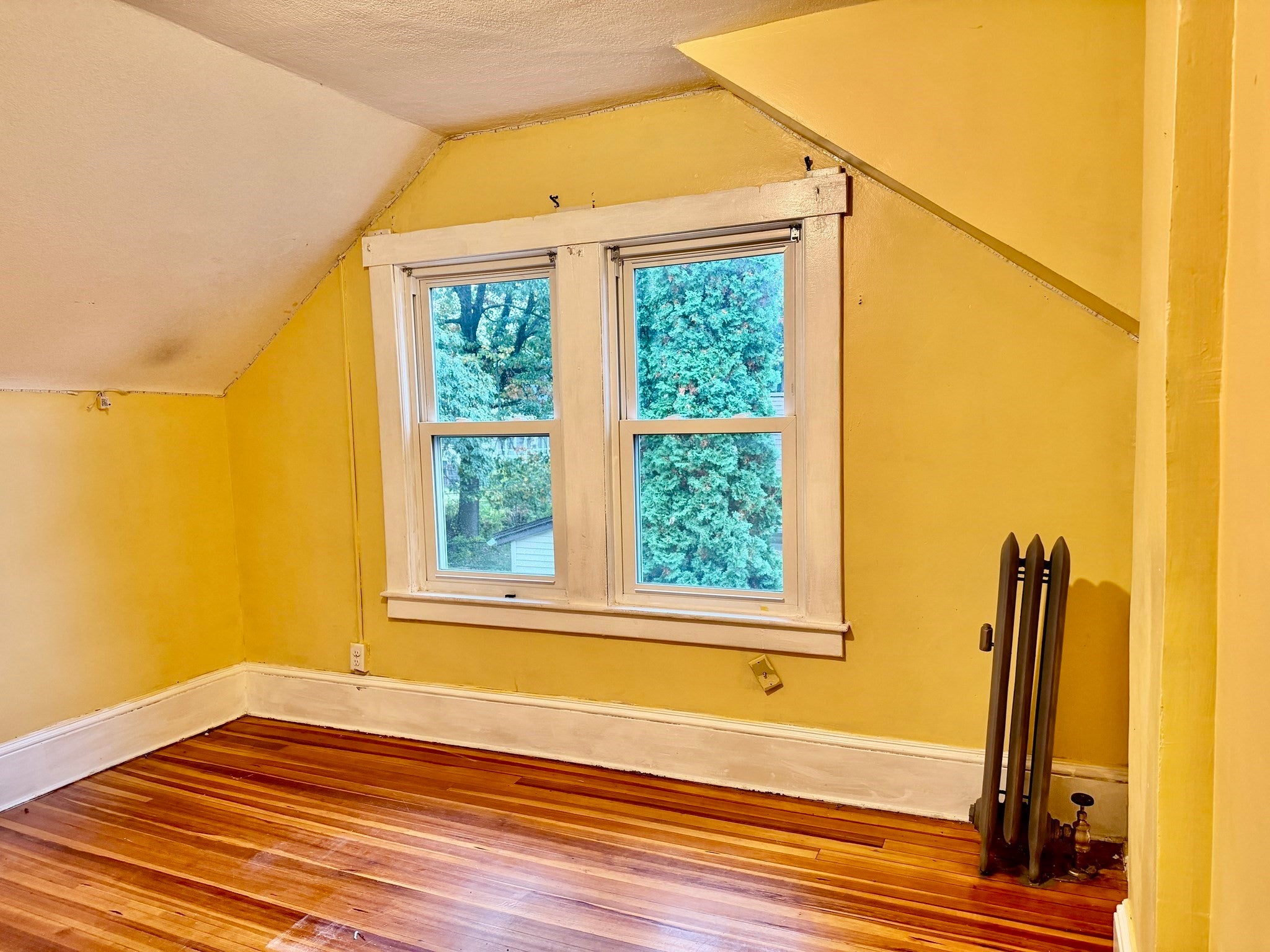 173 Albemarle St, Springfield, MA Photo #24
