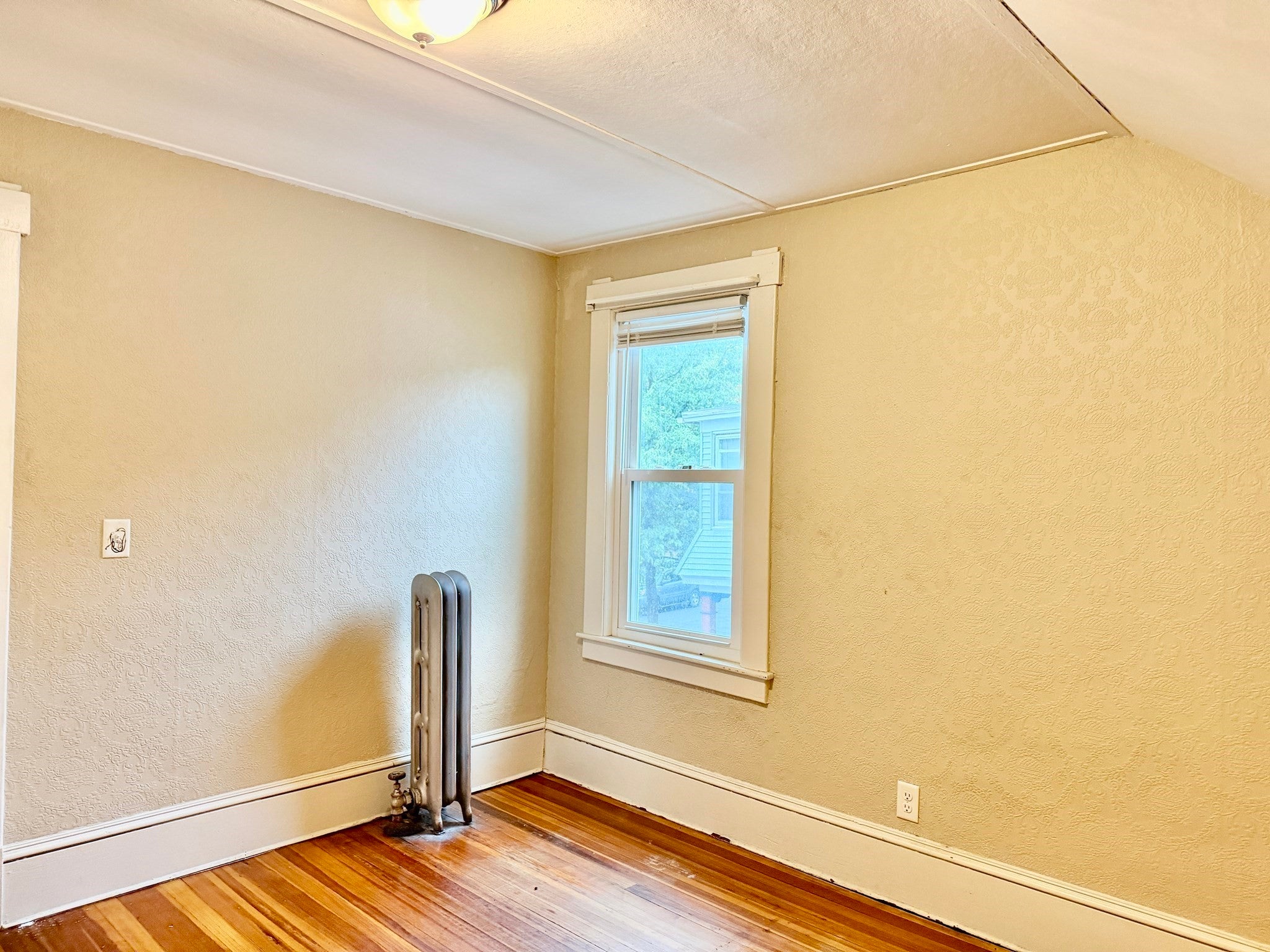 173 Albemarle St, Springfield, MA Photo #27
