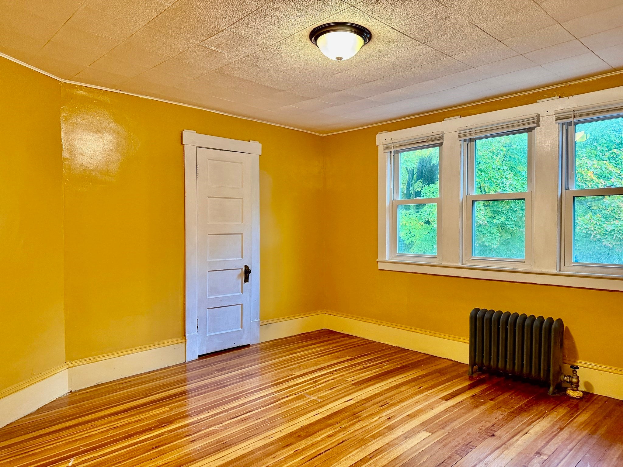 173 Albemarle St, Springfield, MA Photo #22