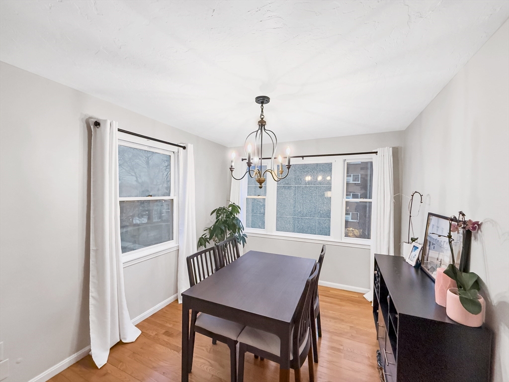 25 Rockland Street #7, Boston, MA Photo #16