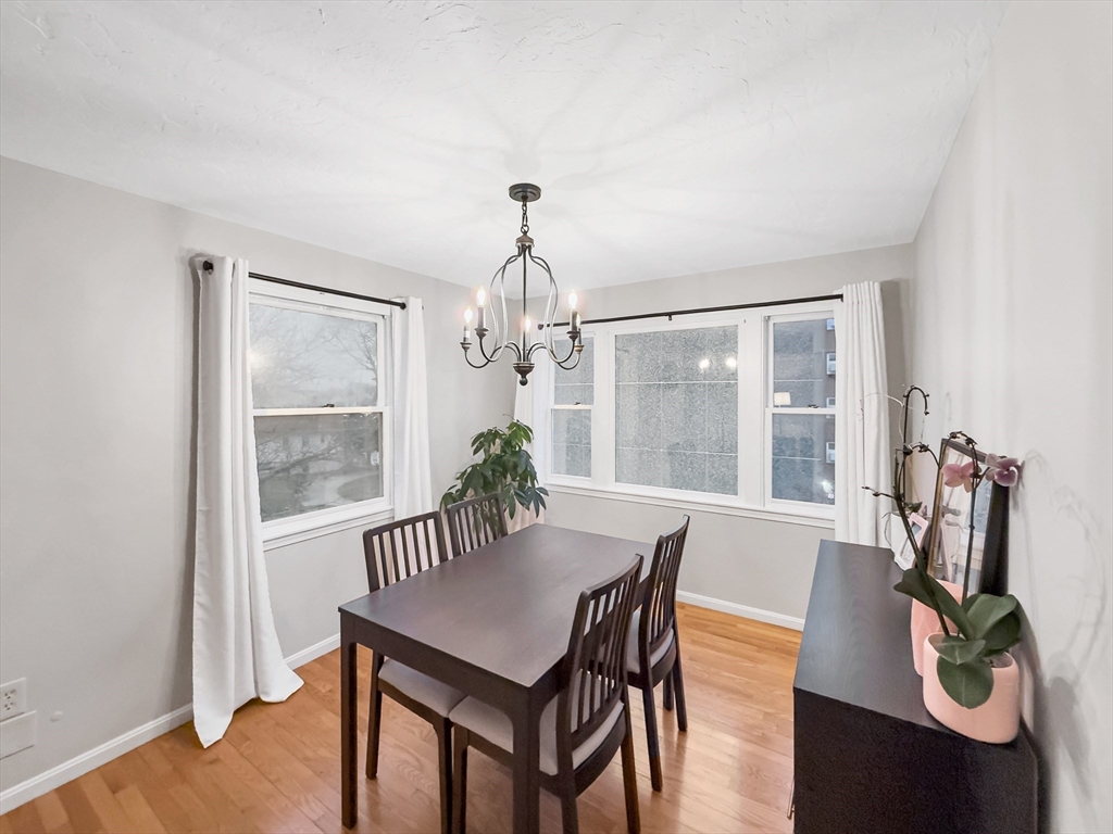 25 Rockland Street #7, Boston, MA Photo #15