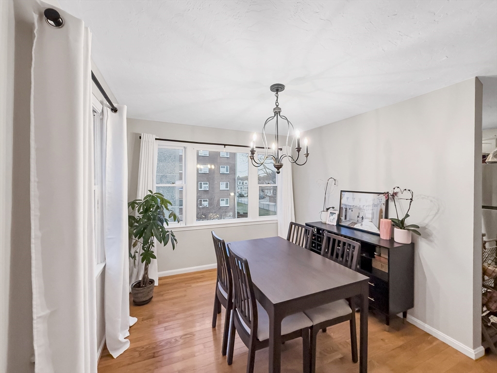 25 Rockland Street #7, Boston, MA Photo #14