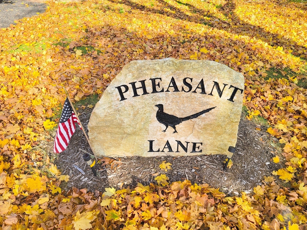 88 Pheasant Lane
