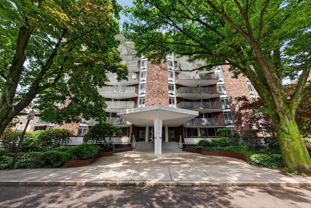 19 Winchester ST #208, Brookline, MA Photo #15