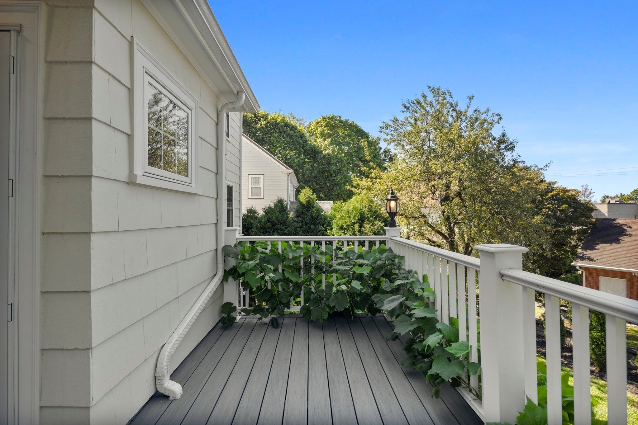 16 Rural Ave, Medford, MA Photo #38