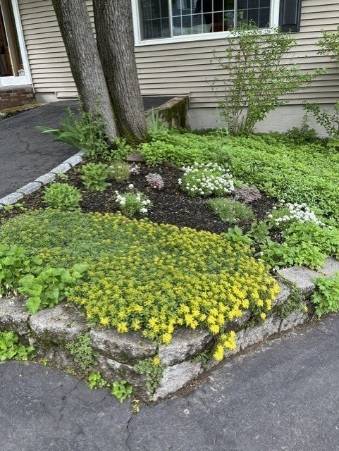 525 North St, Fitchburg, MA, 525 North St, Fitchburg, MA Photo #37