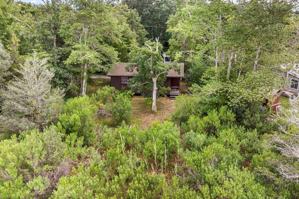 57 Dexter Rd
