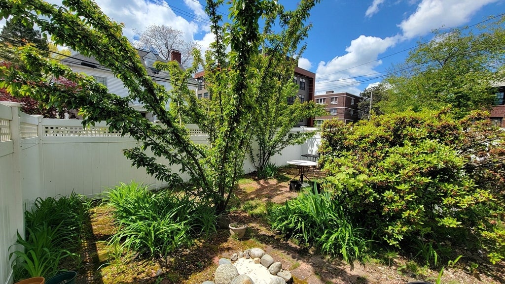 45 Auburn Street #3, Brookline, MA Photo #13
