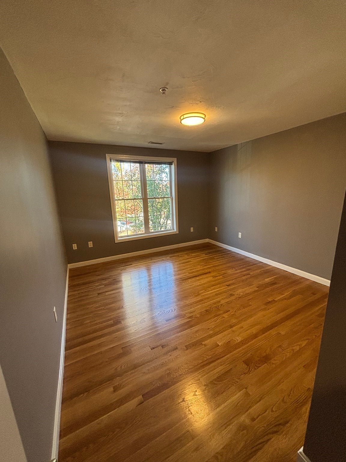 571 Freeport St #4, Boston, MA Photo #13