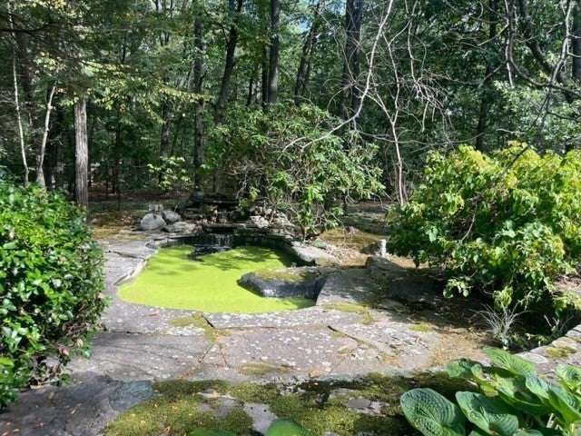 22 Beacon Heights, Newton, MA, 22 Beacon Heights, Newton, MA Photo #35