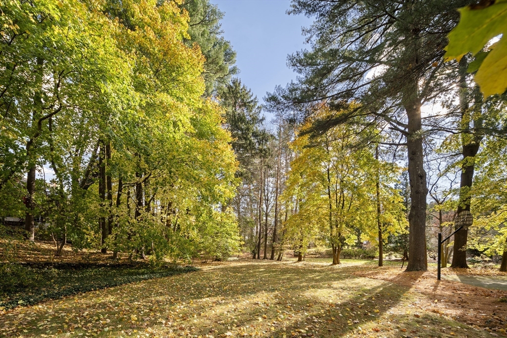 Newton, Massachusetts 02466, United States, 4 Bedrooms Bedrooms, ,2 BathroomsBathrooms,Residential,Pending,129916