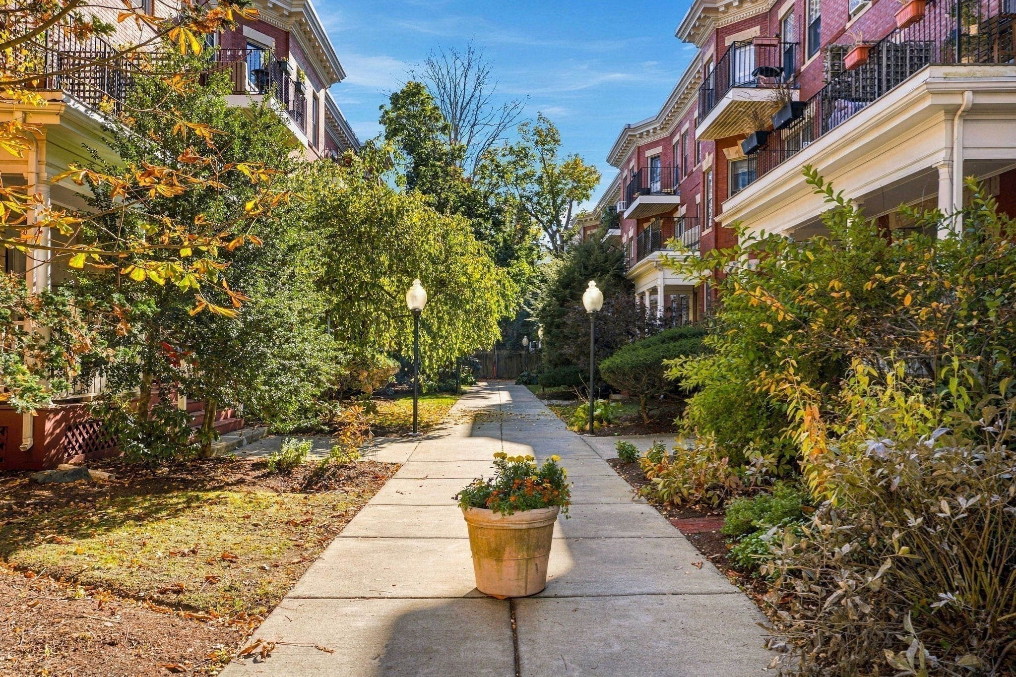 9 Auburn Ct #3, Brookline, MA, 9 Auburn Ct #3, Brookline, MA Photo #26