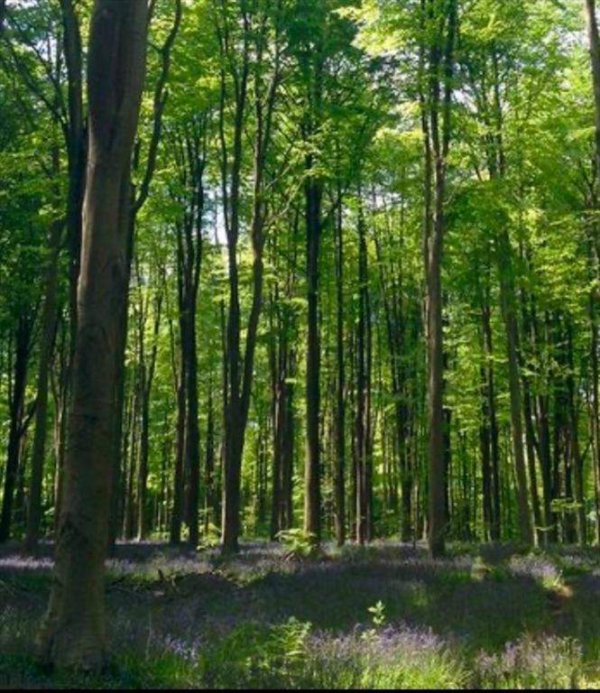 LOT 2 Winterberry Ln