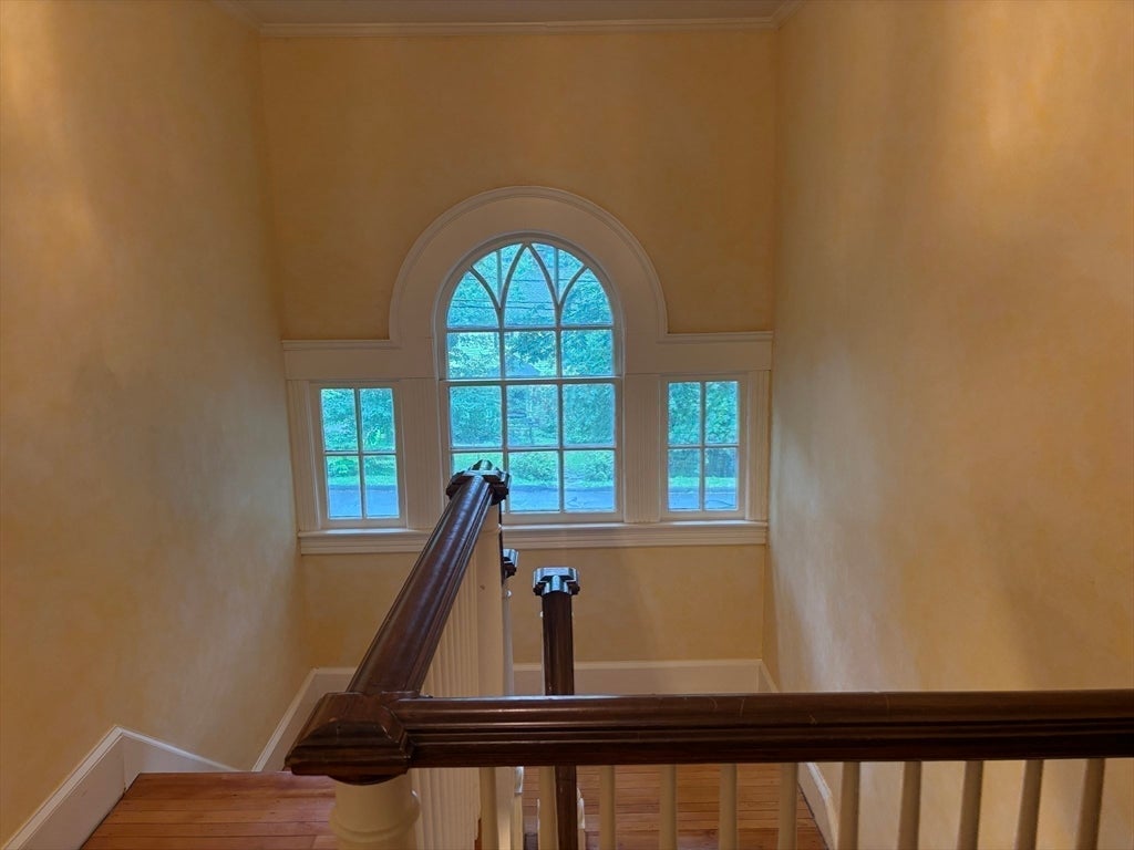 100 Dana ST, Amherst, MA, 100 Dana ST, Amherst, MA Photo #24