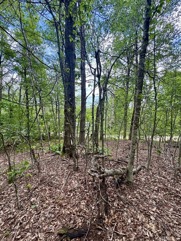 Lot 273 King Richard Dr