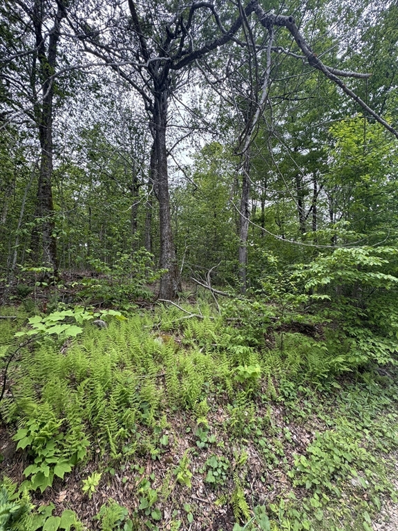 Lot 273 King Richard Dr