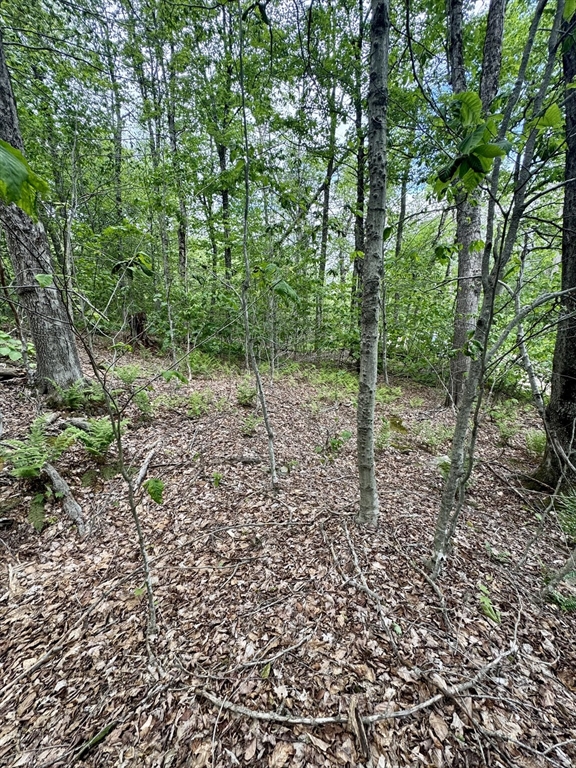Lot 273 King Richard Dr