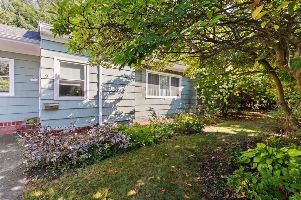 9 Woodcock Ave