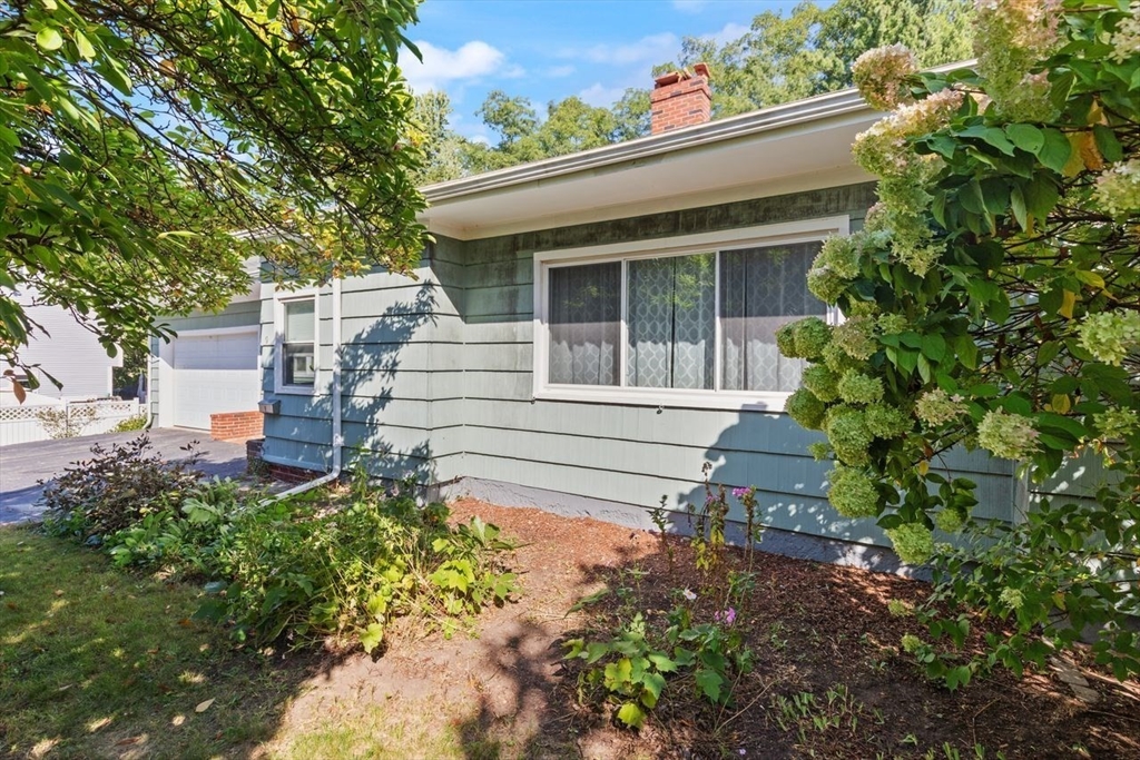 9 Woodcock Ave