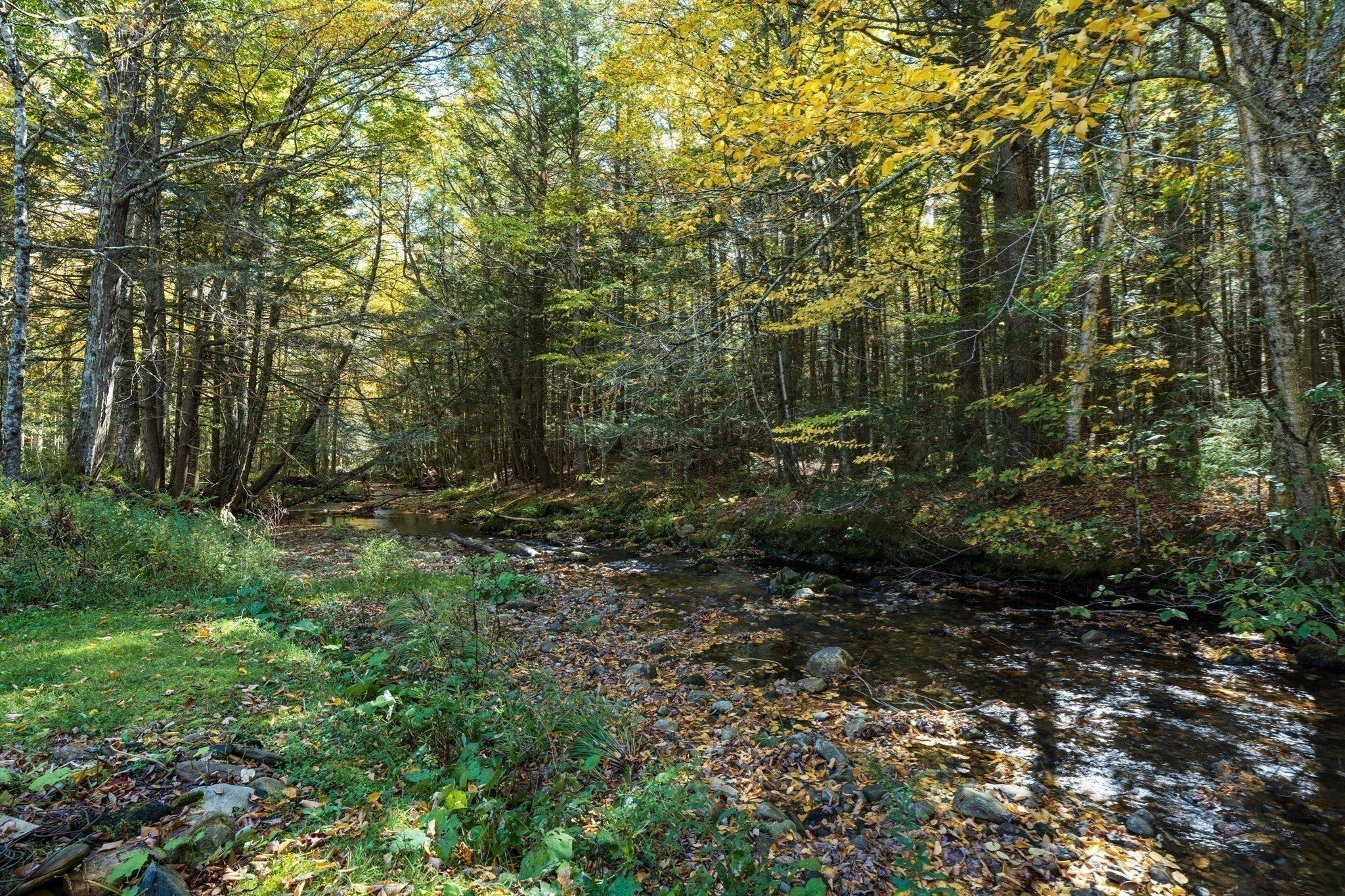 441 Dingle Rd, Worthington, MA, 441 Dingle Rd, Worthington, MA Photo #7