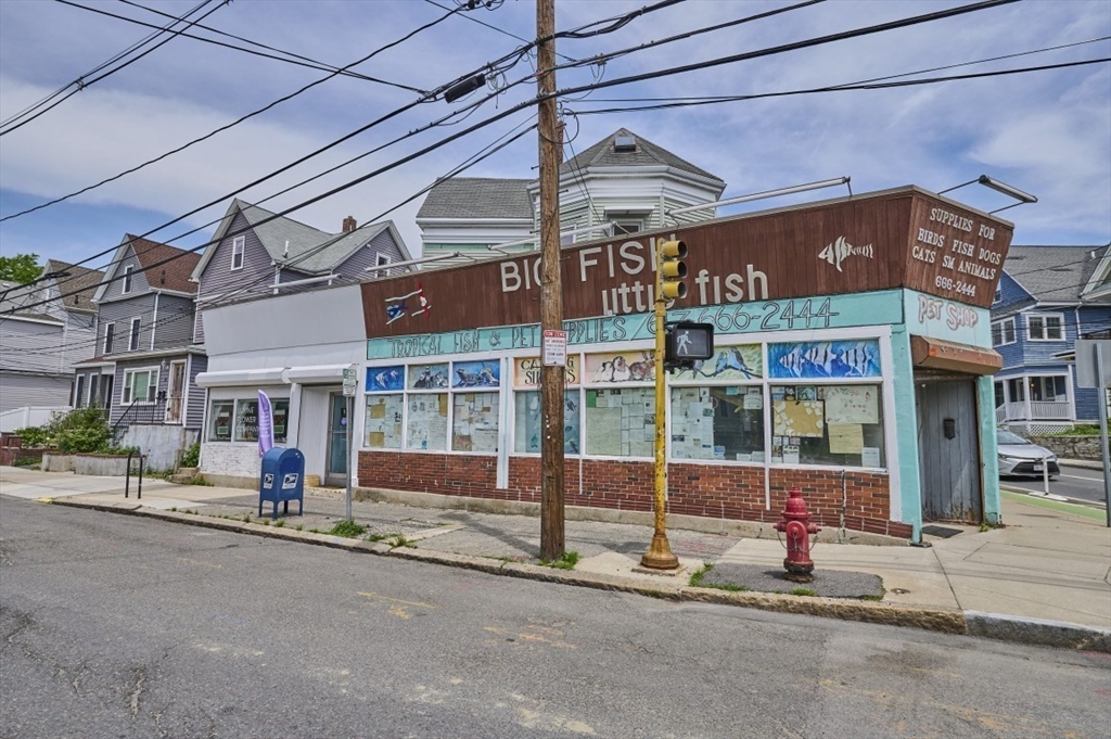 55 Elm St