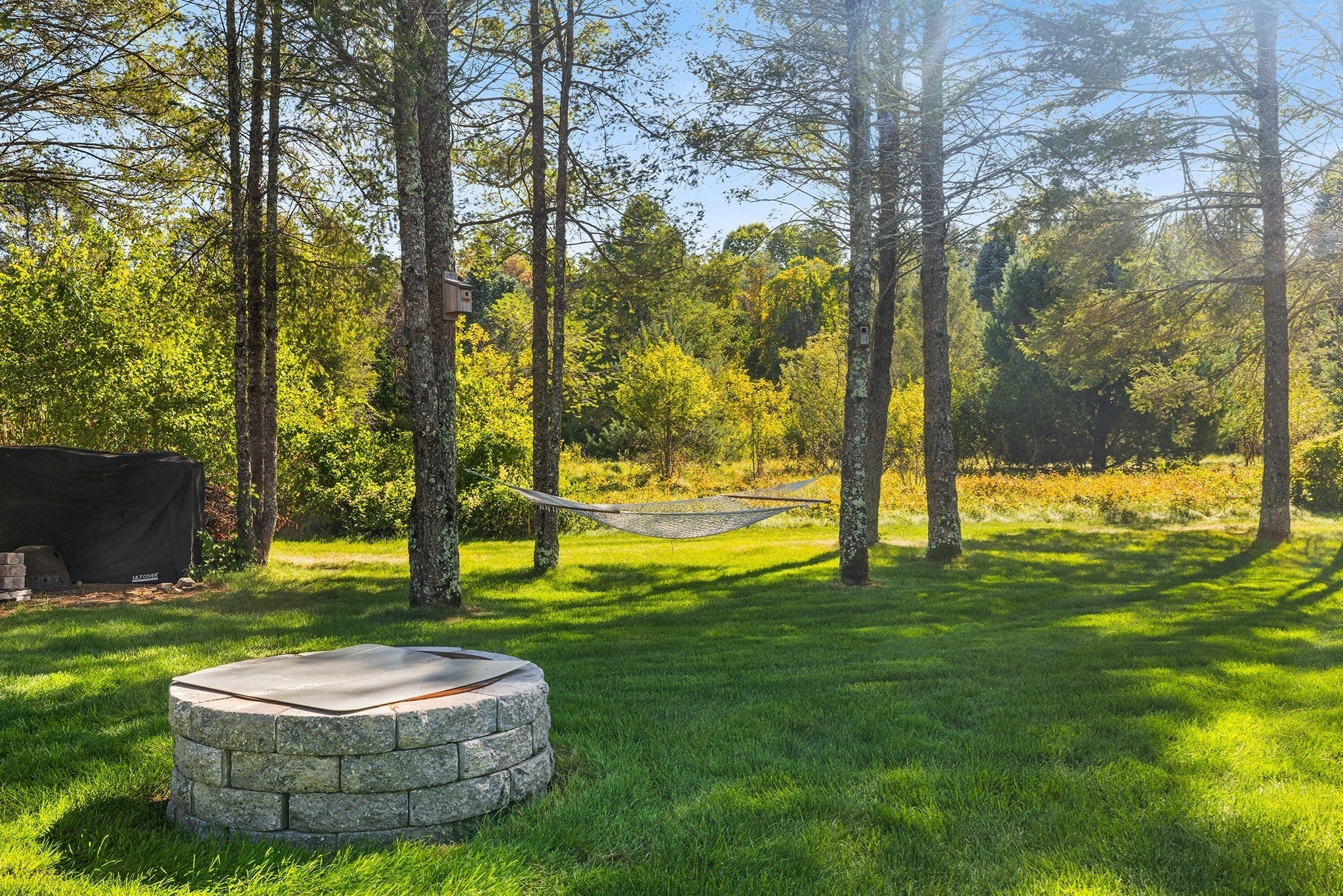 14 Iarussi Way, Medway, MA, 14 Iarussi Way, Medway, MA Photo #33