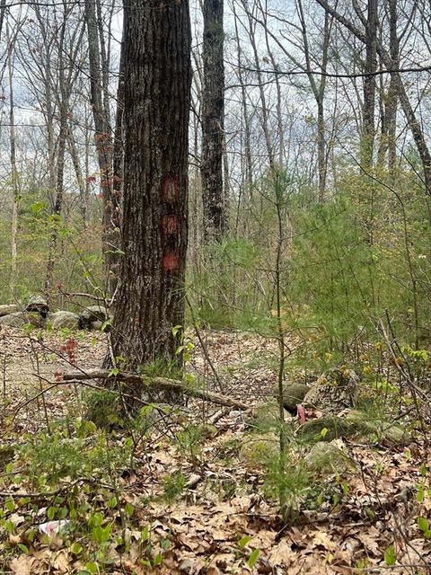 Photo of 0 Miner Rd, Hardwick, MA 01037 (MLS # 73512425)