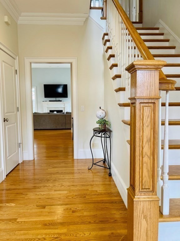6 Chadbourne Rd