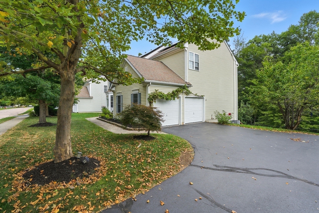 25 Poplar Street