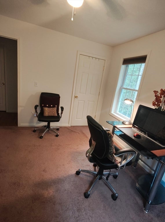 299 River St, Leicester, MA, 299 River St, Leicester, MA Photo #31