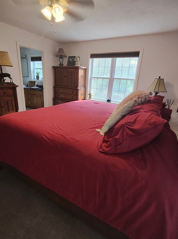 299 River St, Leicester, MA, 299 River St, Leicester, MA Photo #23