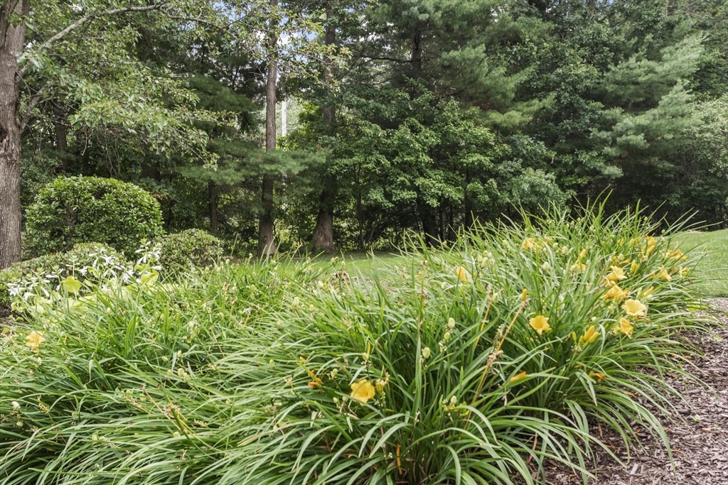 1313 Emerald Ct #1313, Tewksbury, MA Photo #29