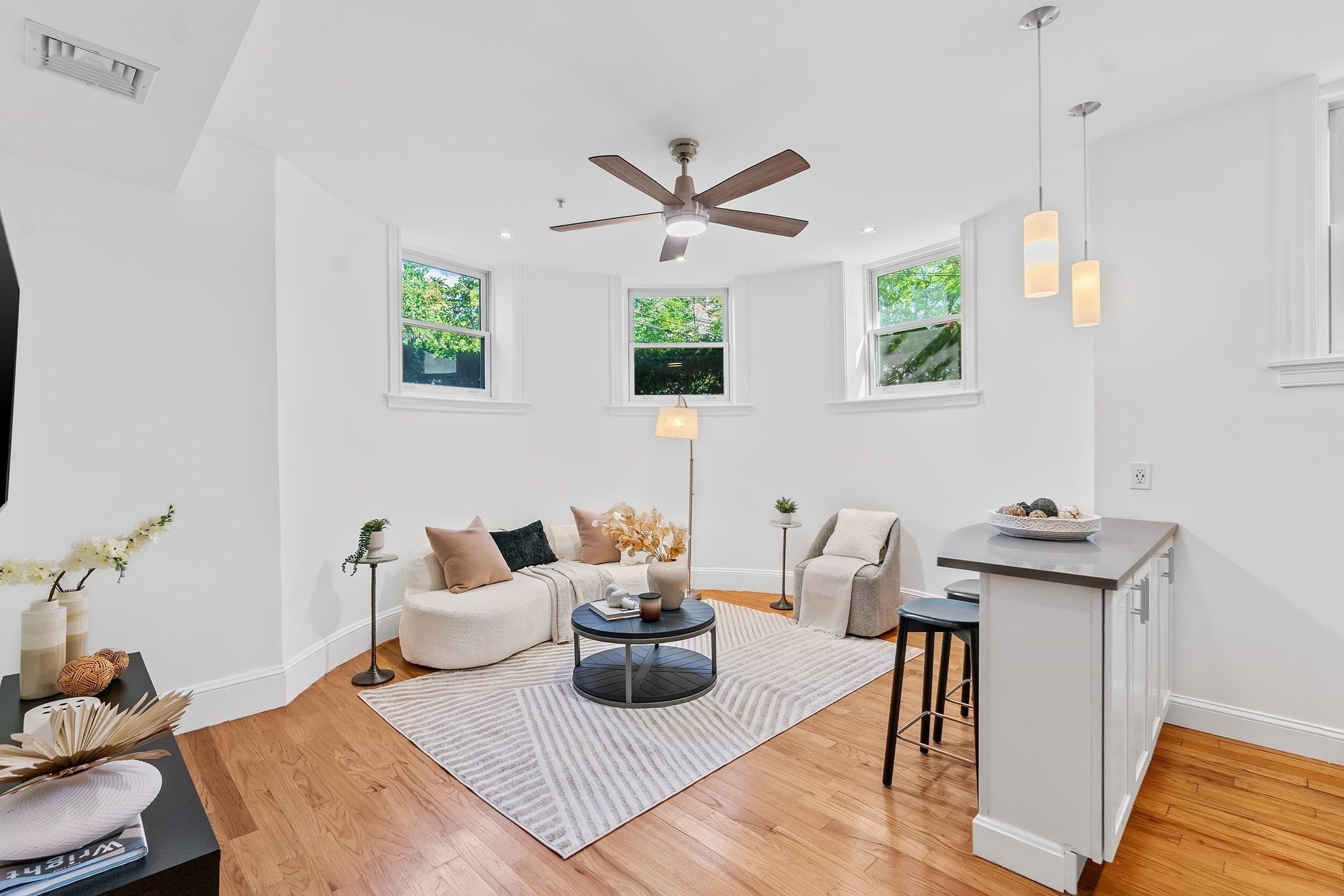 97 Fuller St #4, Brookline, MA, 97 Fuller St #4, Brookline, MA Photo #10