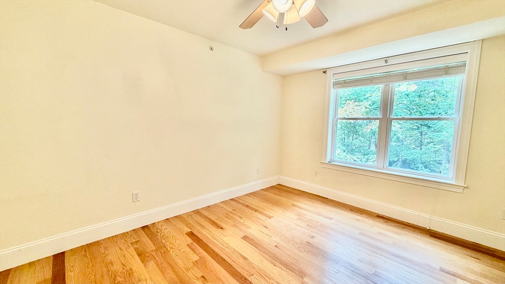 865 Lagrange St #4, Boston, MA, 865 Lagrange St #4, Boston, MA Photo #12