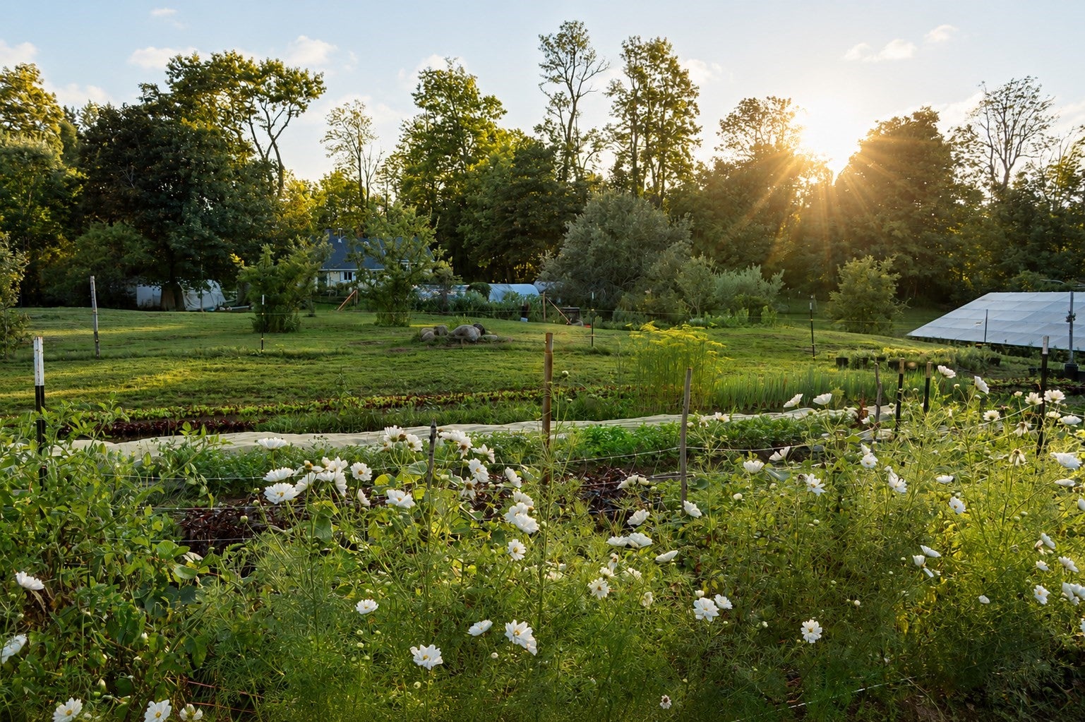 172 Skyline Trl, Middlefield, MA Photo #15
