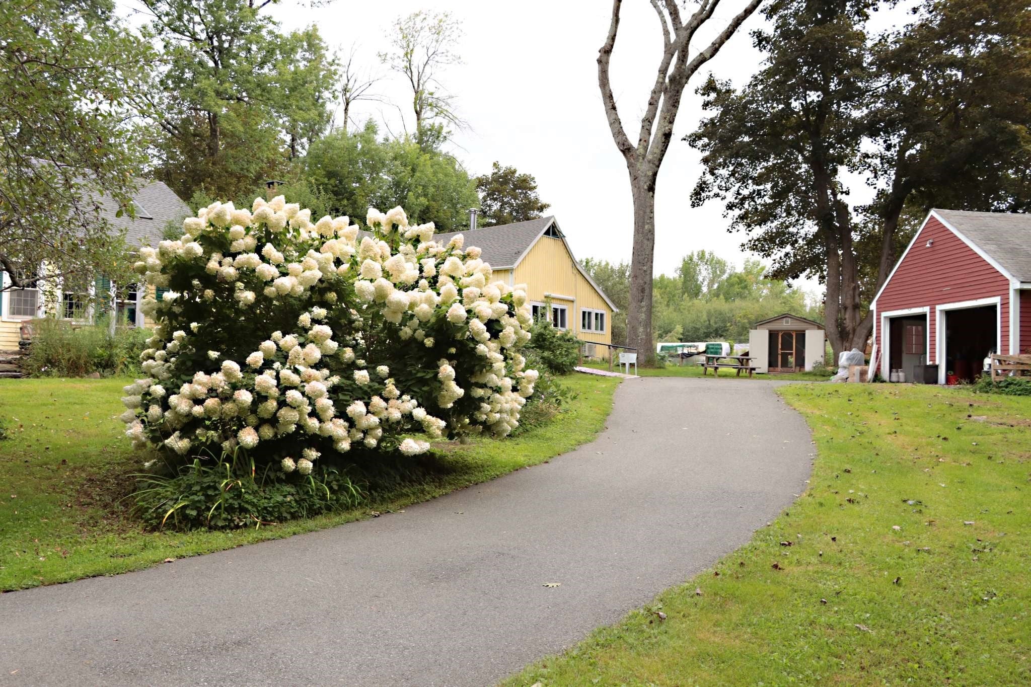 172 Skyline Trl, Middlefield, MA Photo #2
