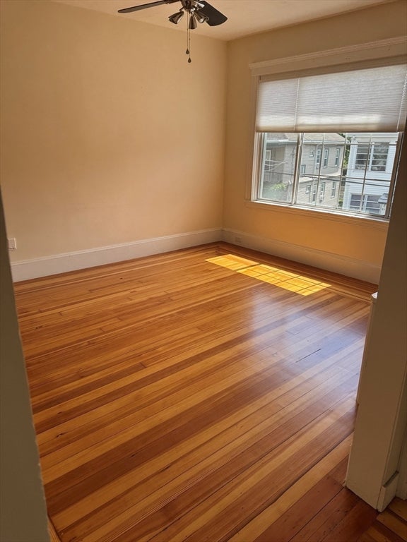 28 Early Ave #28, Medford, MA, 28 Early Ave #28, Medford, MA Photo #5