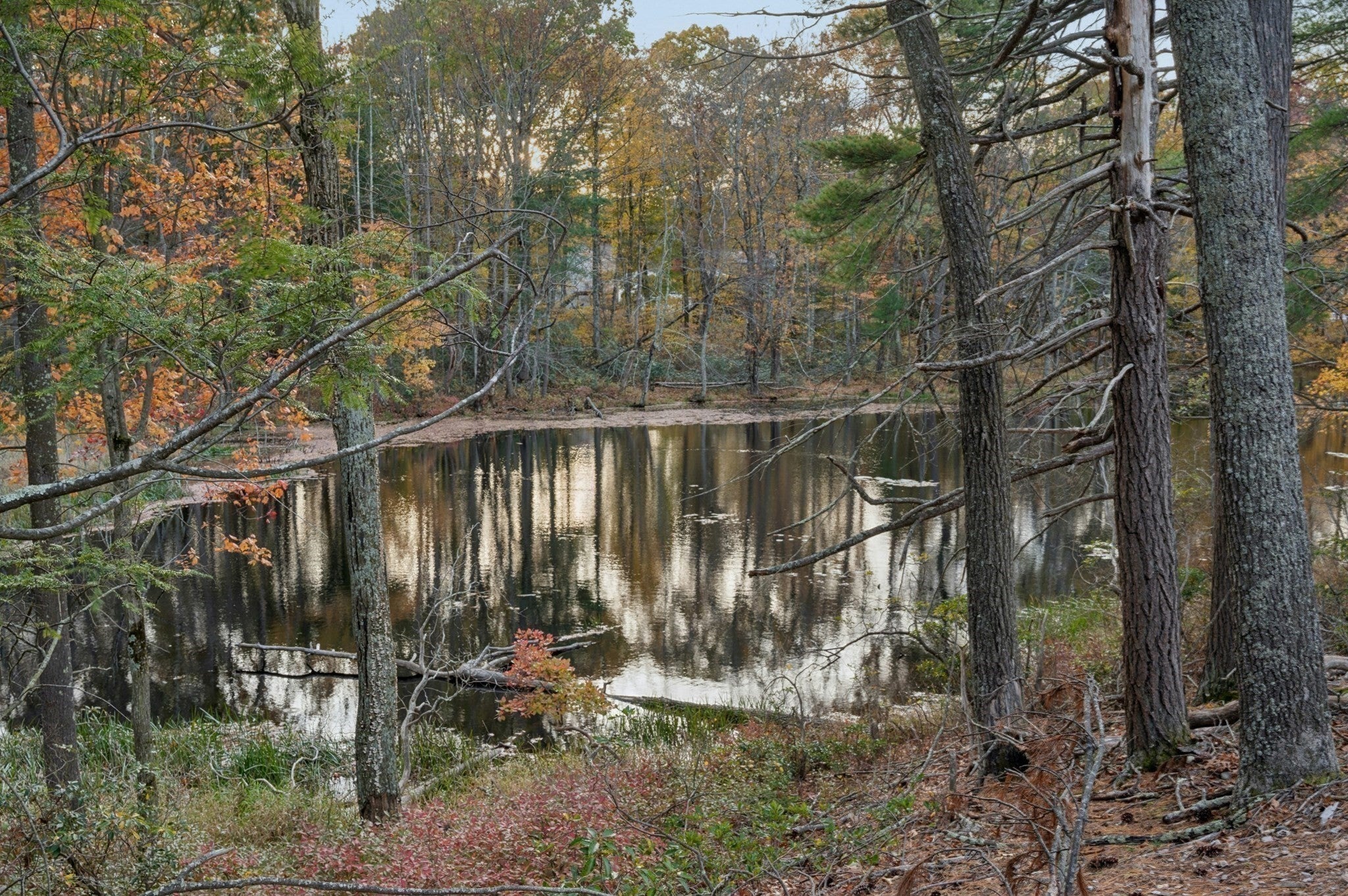35 Martin Rd, Douglas, MA Photo #34